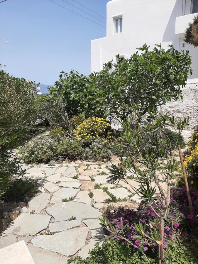 安吉拉之家酒店 Mykonos Town 外观 照片