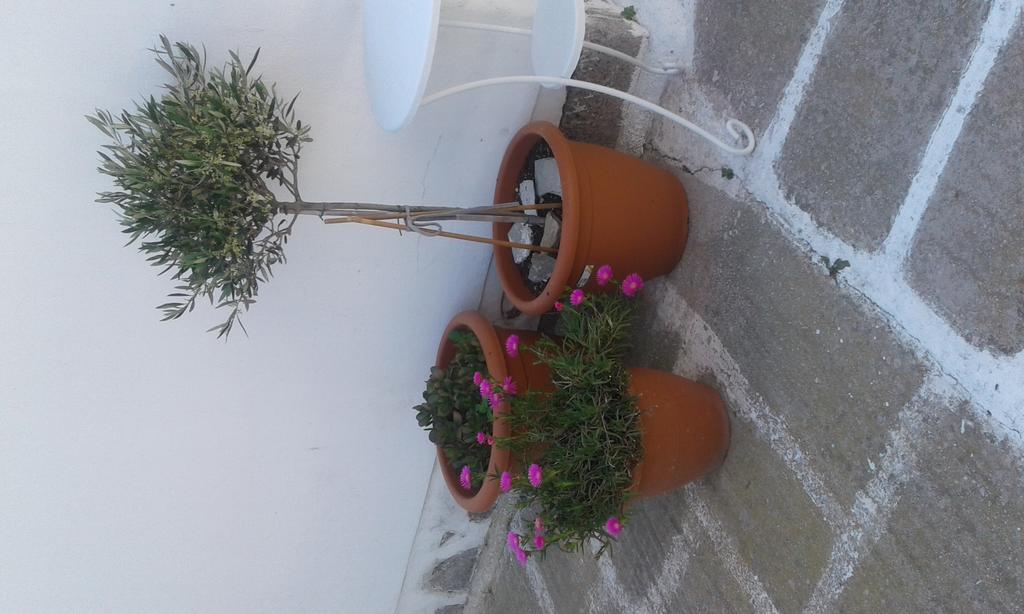 安吉拉之家酒店 Mykonos Town 外观 照片